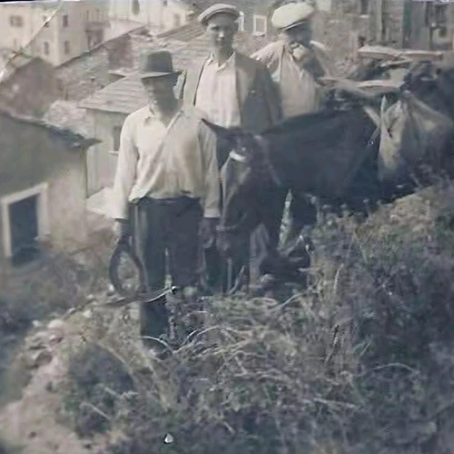 Alt à définir