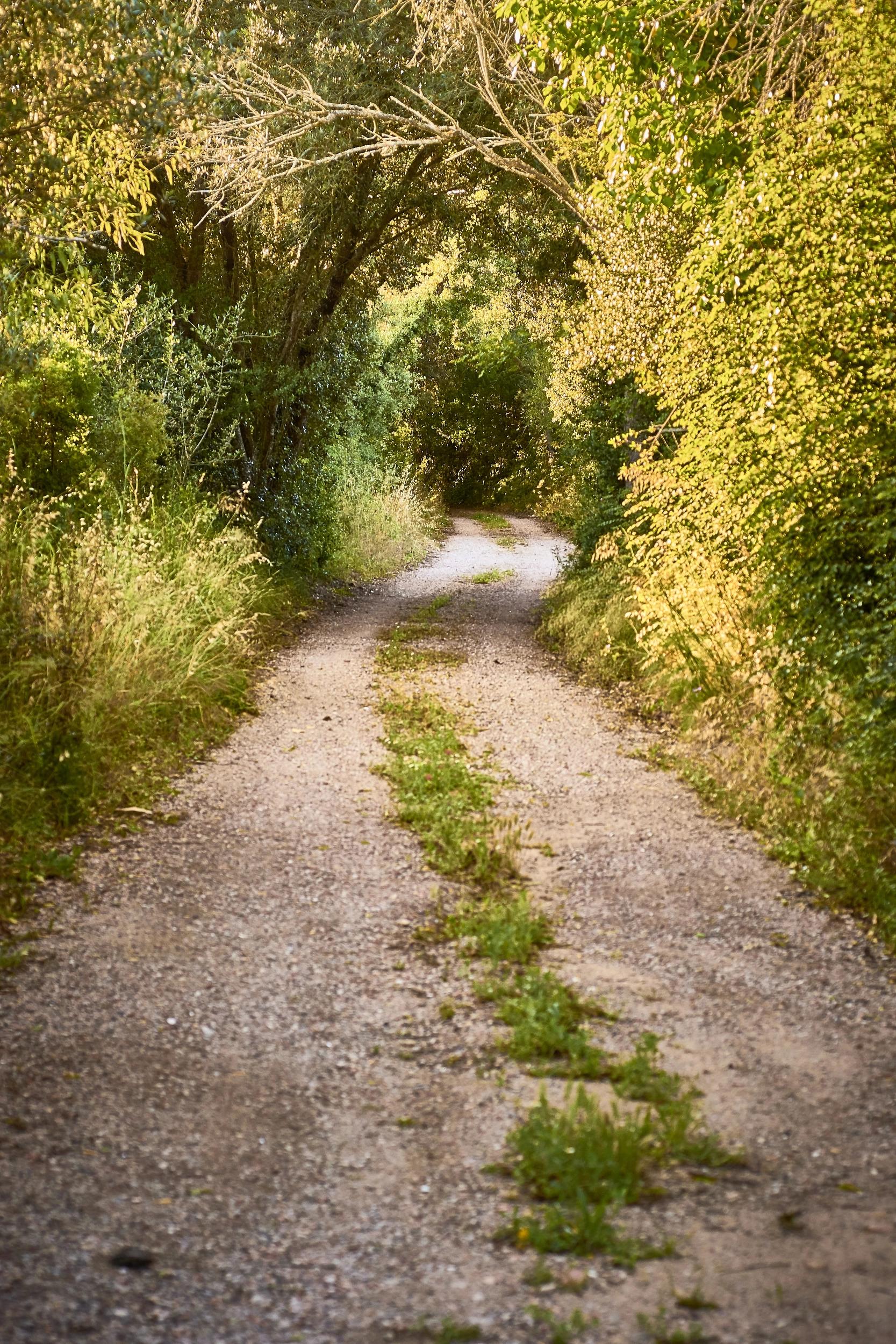 Alt à définir